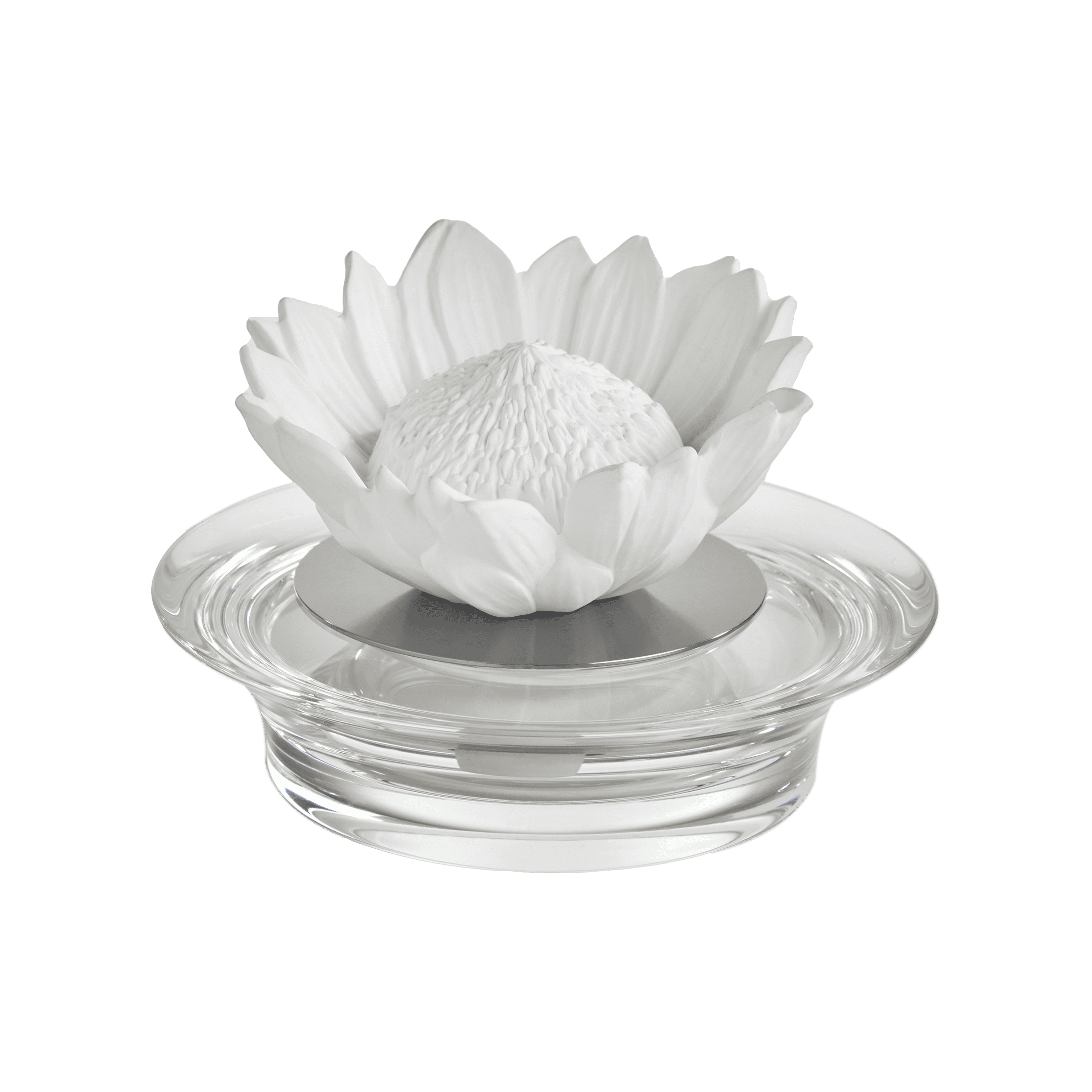 difusor-de-cristal-protea-prata-passaros-do-brasil-250ml