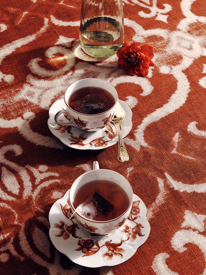 XICARA-CHA-ROUGE-DE-FER