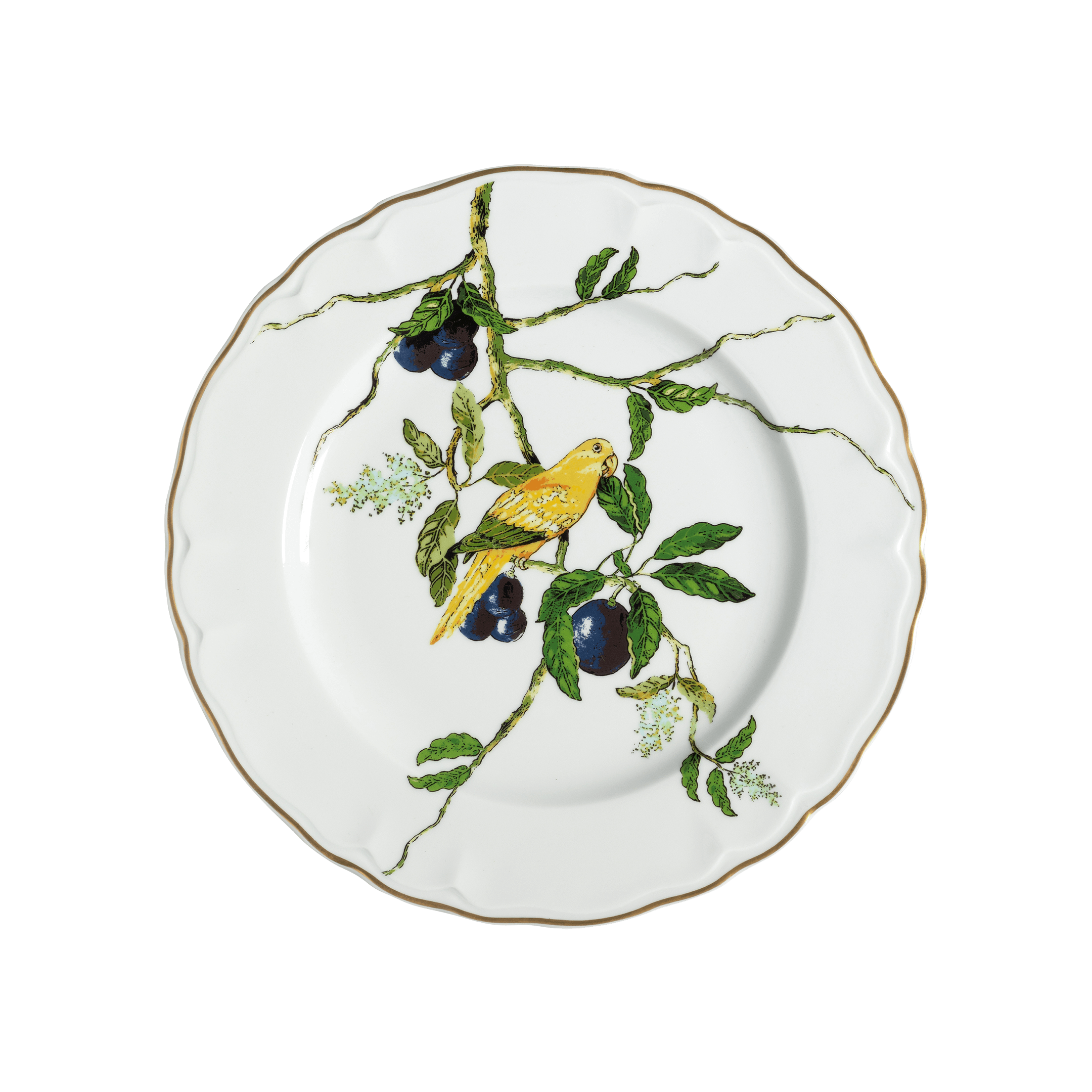 308054-033_Set_Prato_Raso_Passaros_do_Brasil_4pc_2--1-