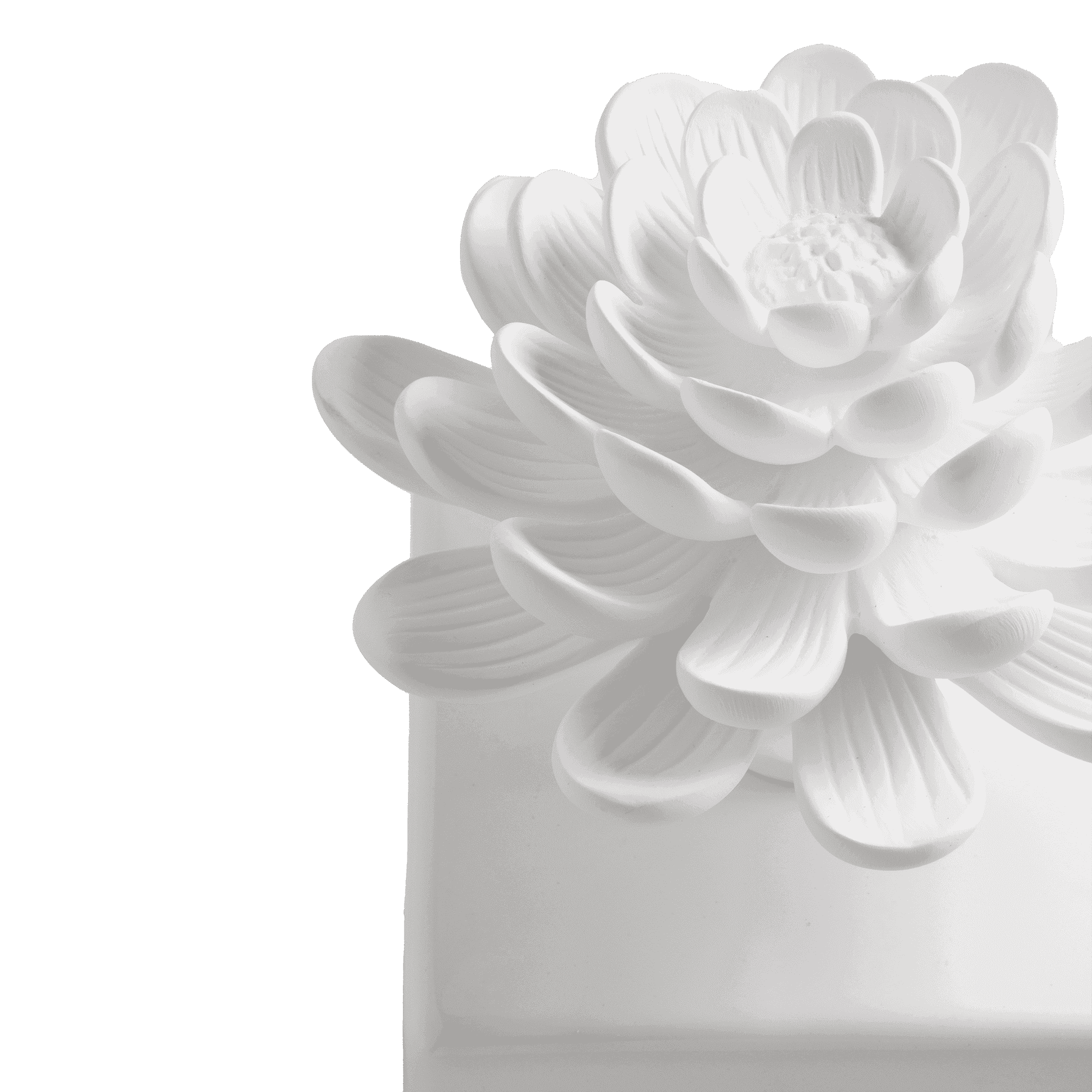 Difusor_de_Porcelana_Flor_de_Vitoria_Regia_5_R--1-