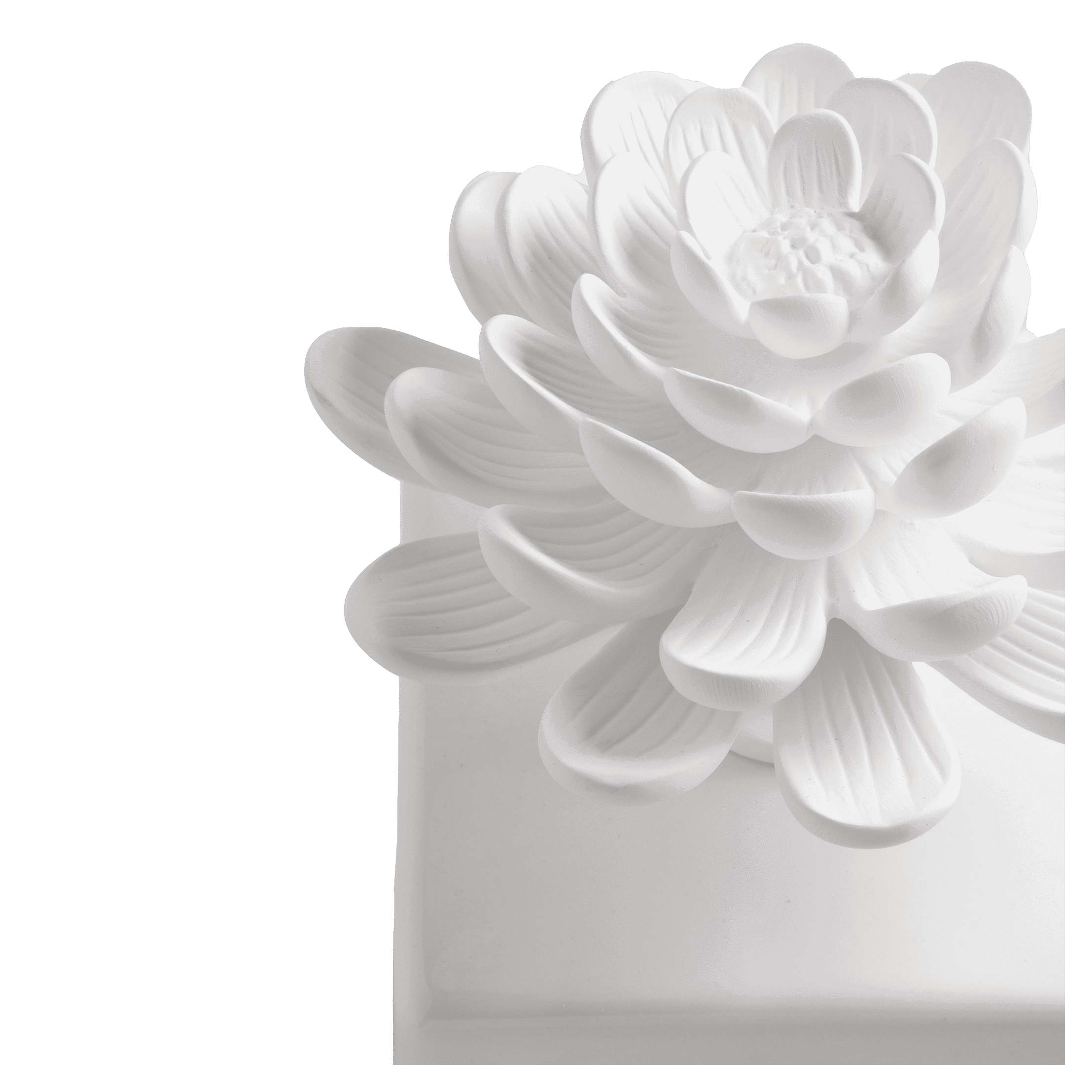 Difusor_de_Porcelana_Flor_de_Vitoria_Regia_5_R--1-