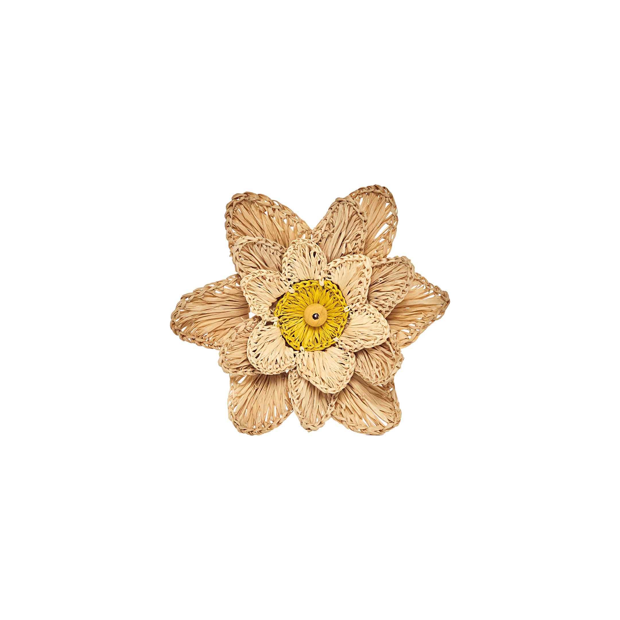 1000100997_Pt_Flor_de_Maracuja_Amarelo