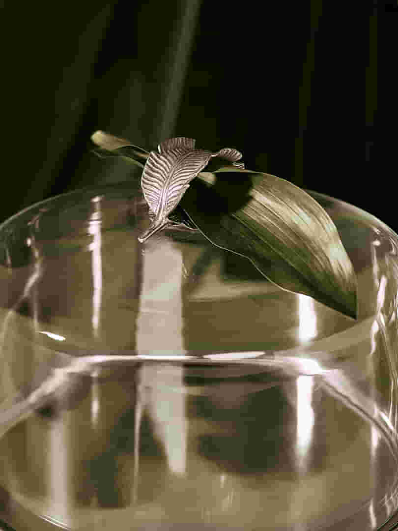 1000200700_BOLEIRA_PALMEIRA_2