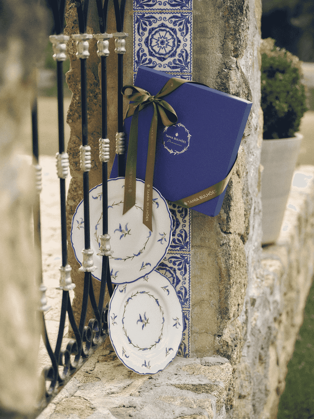 001002301079_Prato_Raso_Provence_3.png