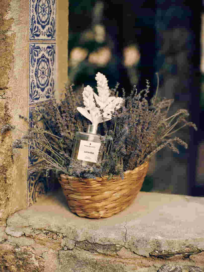 060325_TB_CAMPANHA_PROVENCE0794_OK--1-.jpg