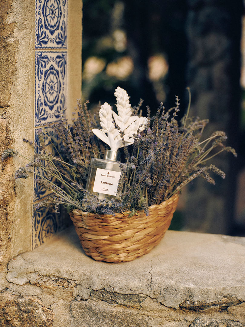 060325_TB_CAMPANHA_PROVENCE0794_OK--1-.jpg