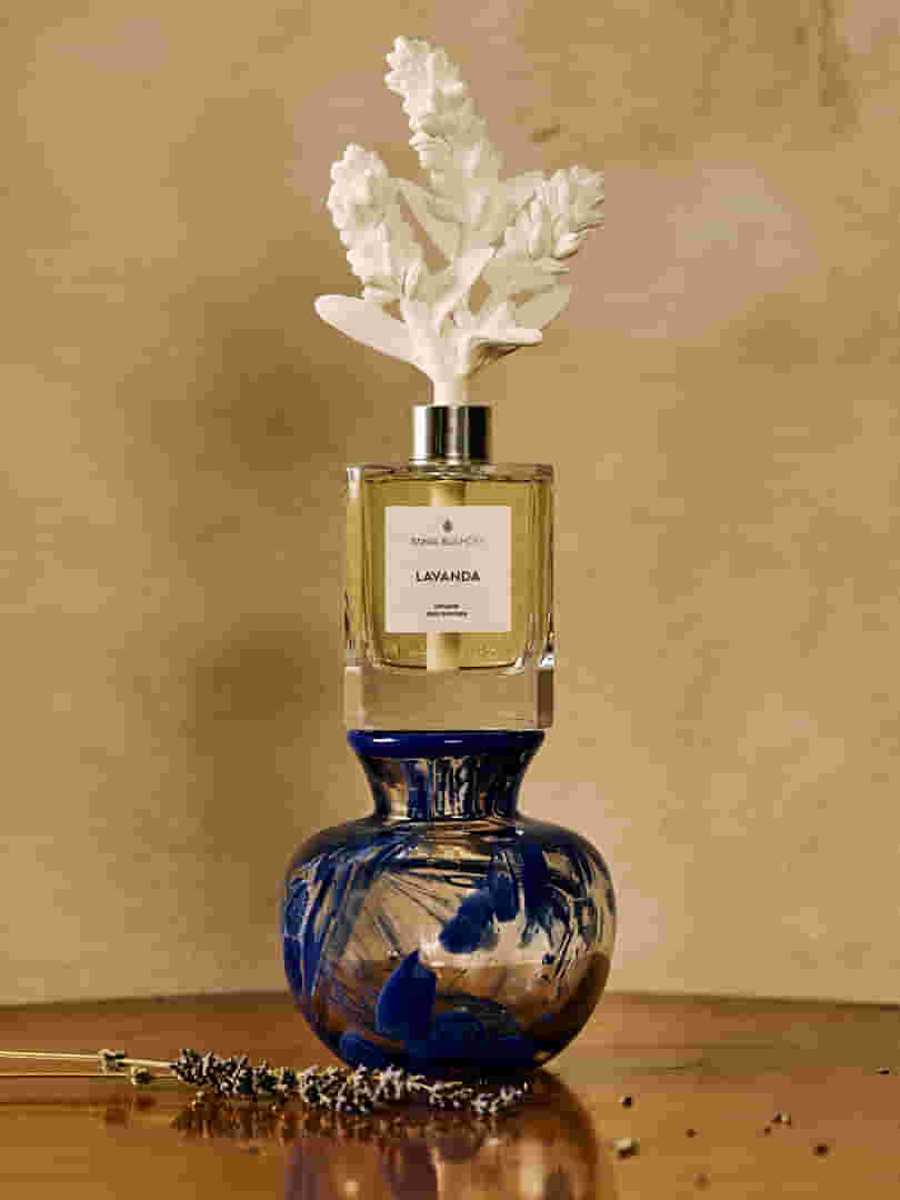 000004458K_KIT_LAVANDA_3.jpg