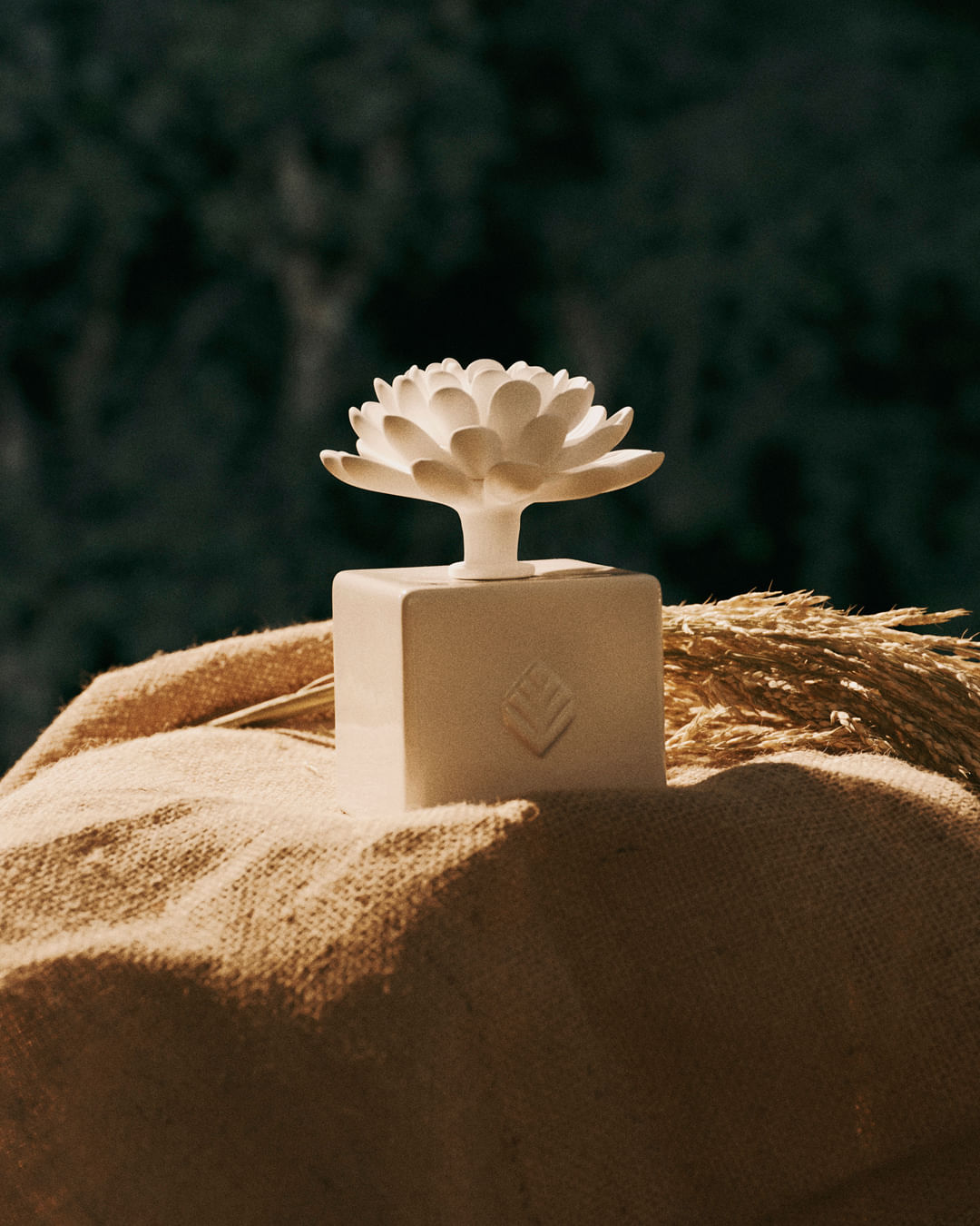 Difusor_de_Porcelana_Flor_de_Vitoria_Regia_7