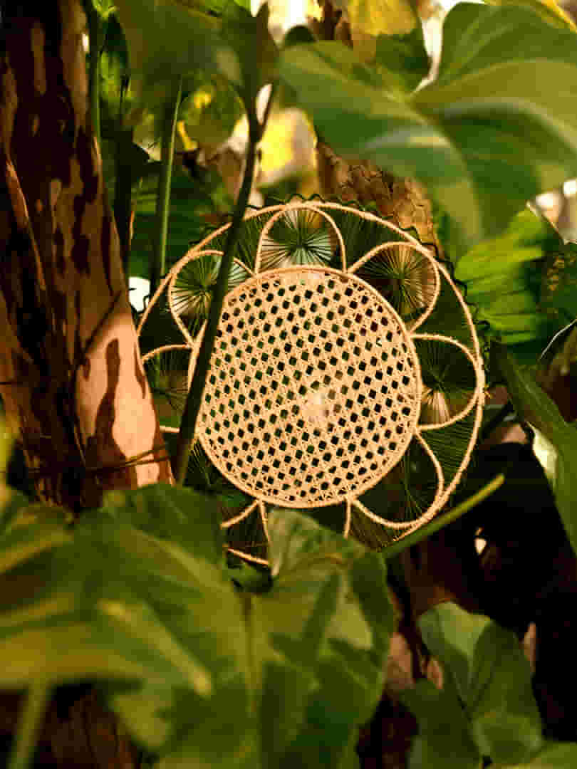 0010001001008_Jg_Americano_Arquipelago_Redondo_Verde_4
