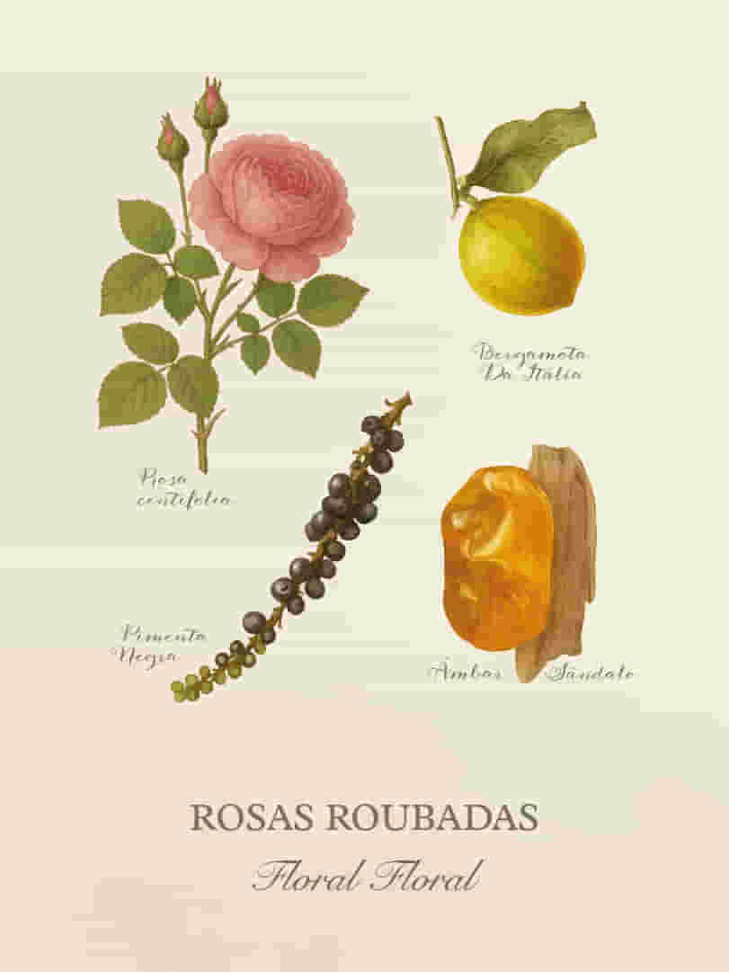 Cards-Perfumaria-pessoal-E-commerce-11