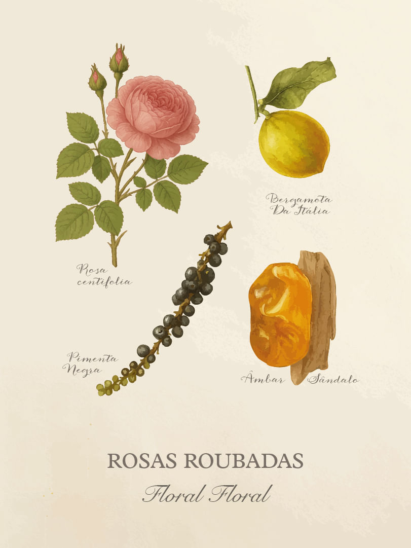 Cards-Perfumaria-pessoal-E-commerce-11