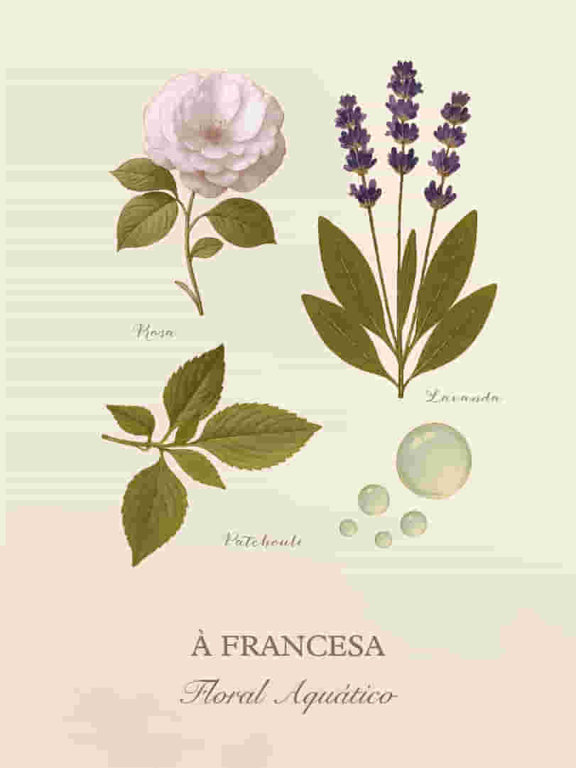 A-Francesa-Cards-Perfumaria-pessoal-E-commerce-03
