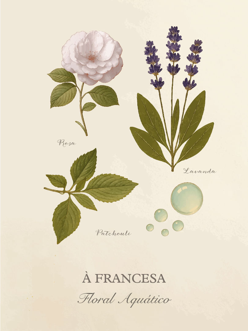 A-Francesa-Cards-Perfumaria-pessoal-E-commerce-03