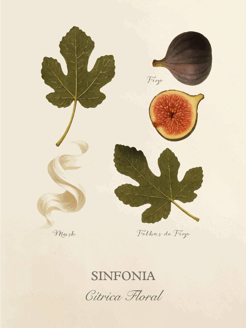 Sinfonia-Cards-Perfumaria-pessoal-E-commerce-06