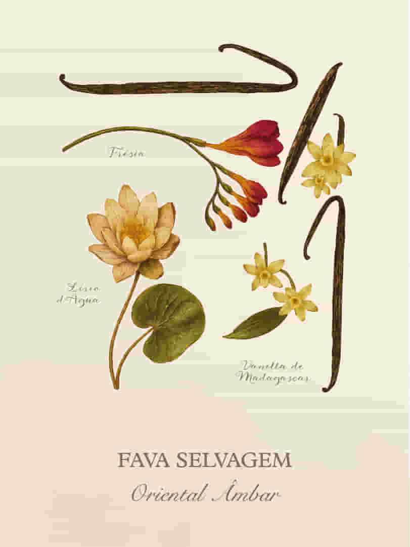 Fava-Selvagem-Cards-Perfumaria-pessoal-E-commerce-07
