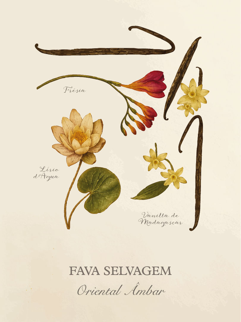 Fava-Selvagem-Cards-Perfumaria-pessoal-E-commerce-07