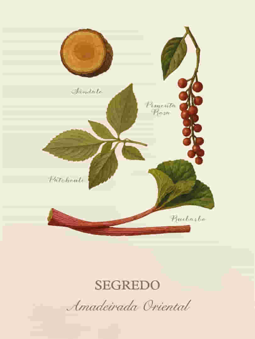 Segredo-Cards-Perfumaria-pessoal-E-commerce-08
