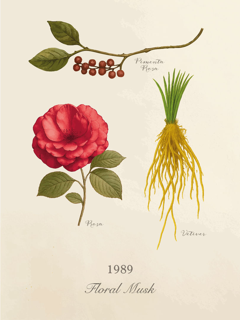 1989-Cards-Perfumaria-pessoal-E-commerce-09