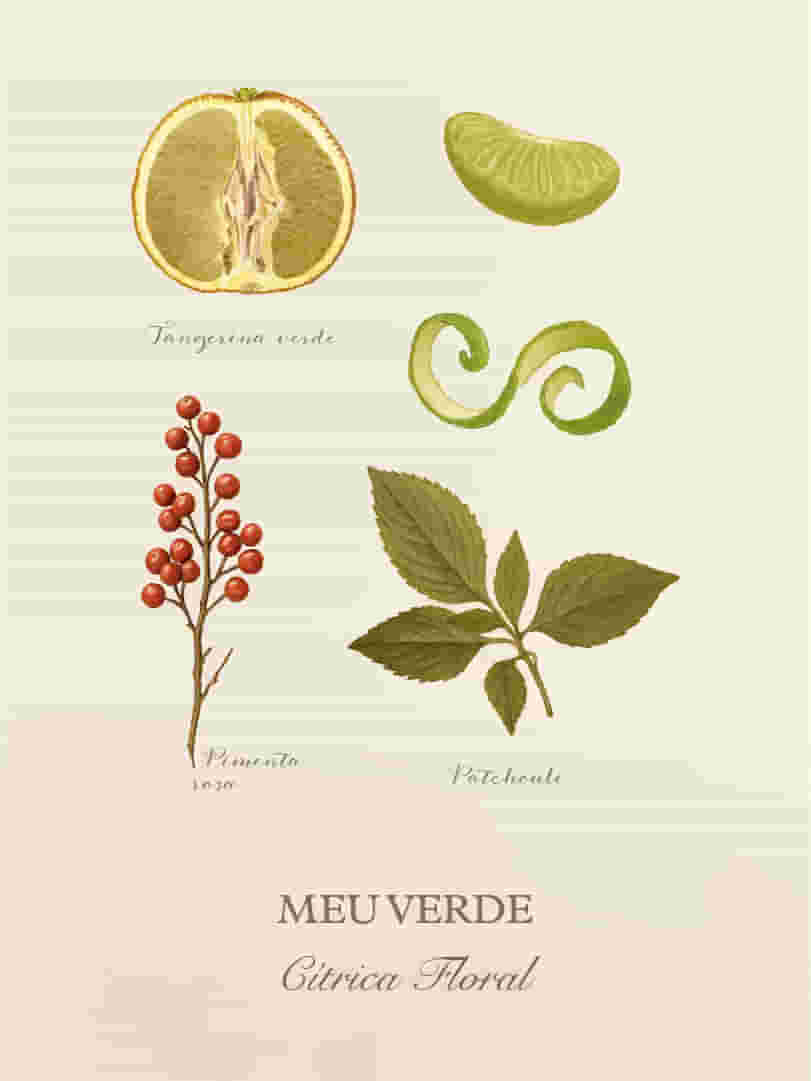 Meu-Verde-Cards-Perfumaria-pessoal-E-commerce-02