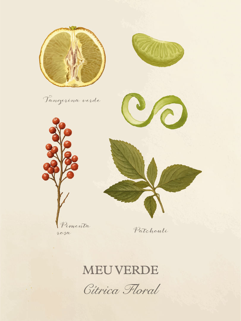 Meu-Verde-Cards-Perfumaria-pessoal-E-commerce-02