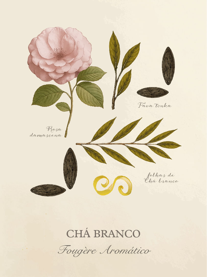 Cha-Branco-Cards-Perfumaria-pessoal-E-commerce-01
