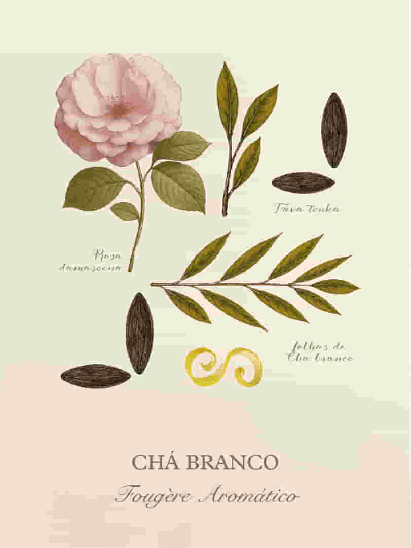 Cha-Branco-Cards-Perfumaria-pessoal-E-commerce-01