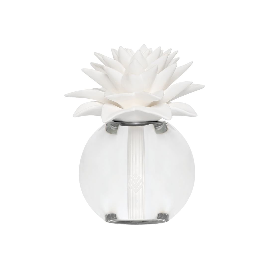 2001300012_Difusor_Porcelana_Bromeilia_Prata-copy